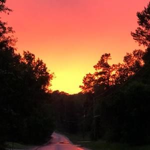 Meet your Posher, Dustin